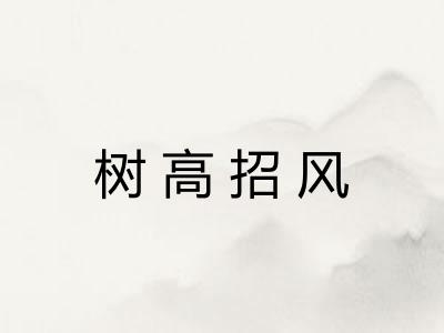 树高招风