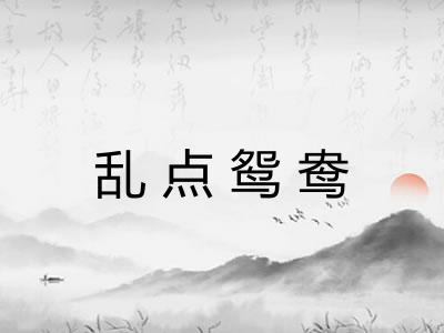 乱点鸳鸯