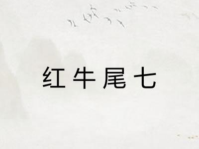 红牛尾七