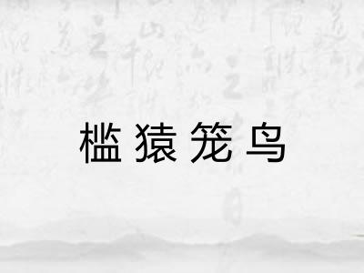 槛猿笼鸟
