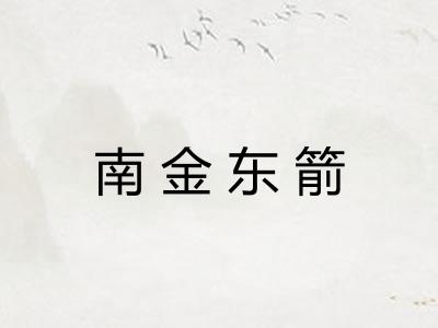 南金东箭
