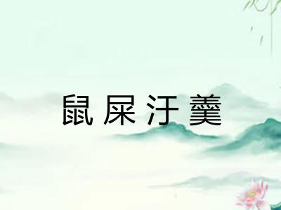 鼠屎汙羹