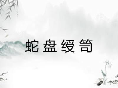 蛇盘绶笥