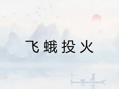 飞蛾投火