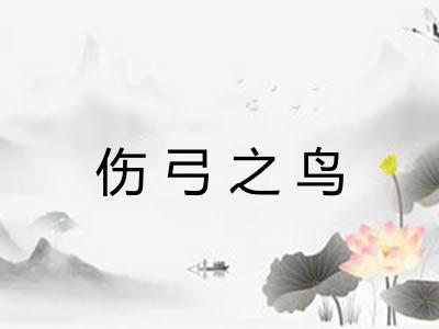 伤弓之鸟