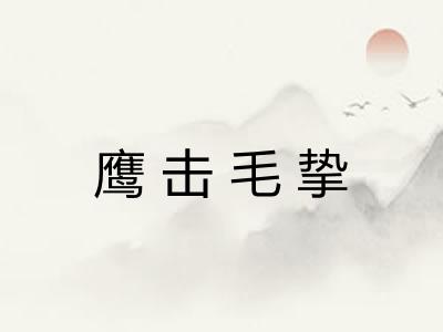 鹰击毛挚