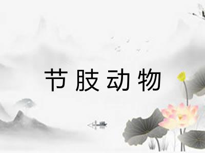 节肢动物