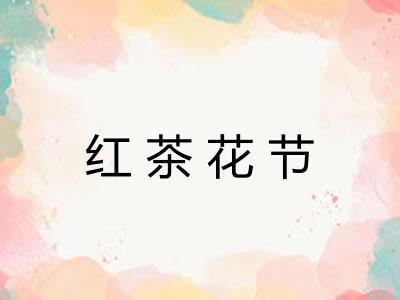 红茶花节