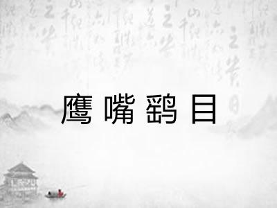 鹰嘴鹞目