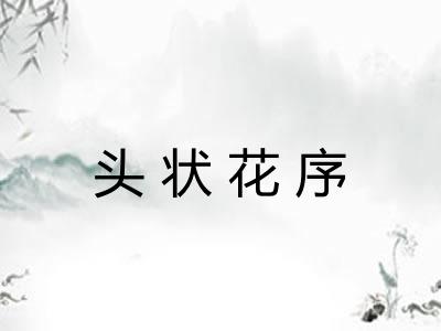 头状花序