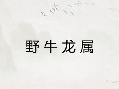 野牛龙属