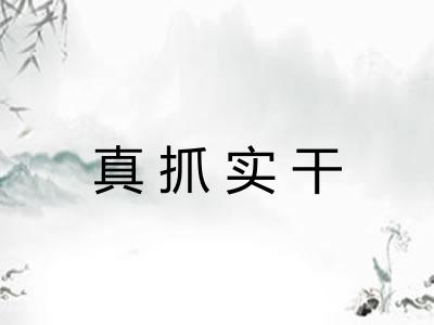 真抓实干