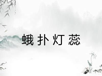 蛾扑灯蕊