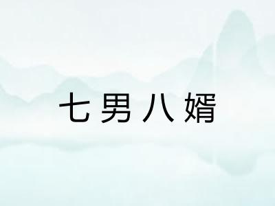 七男八婿