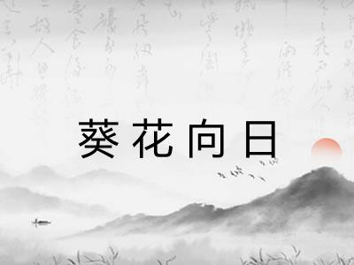 葵花向日