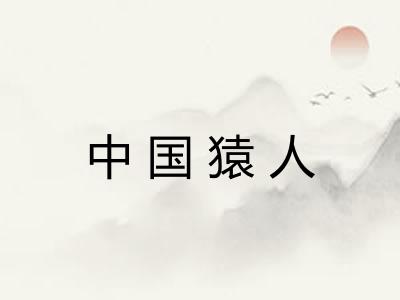 中国猿人