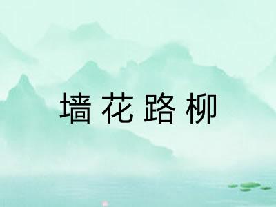 墙花路柳