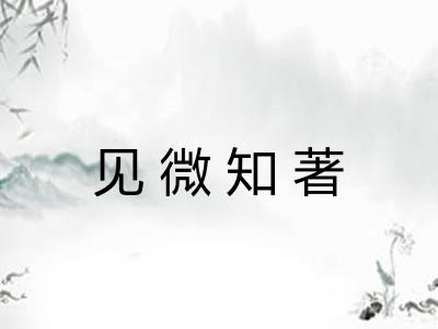 见微知著