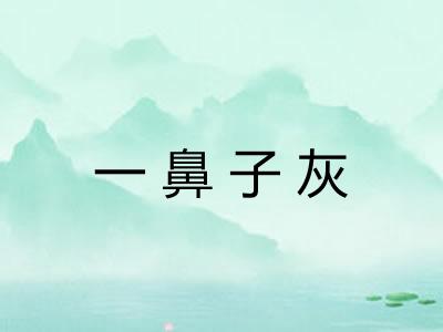 一鼻子灰