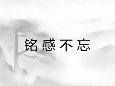 铭感不忘