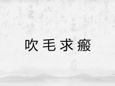 吹毛求瘢 吹毛求瘢