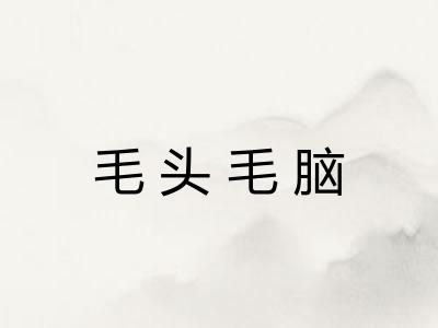 毛头毛脑