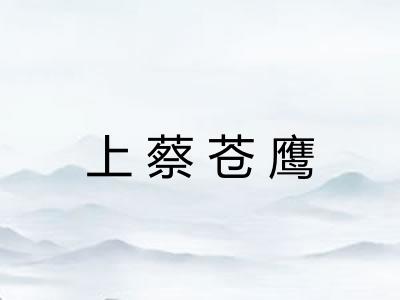上蔡苍鹰