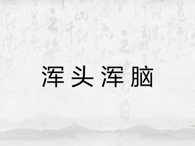 浑头浑脑