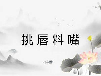 挑唇料嘴