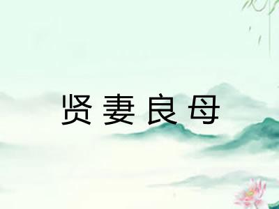 贤妻良母