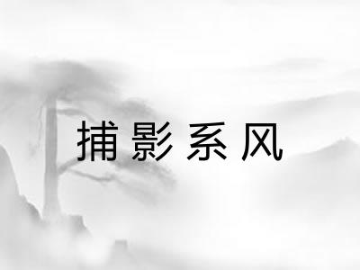 捕影系风