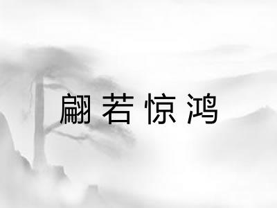 翩若惊鸿