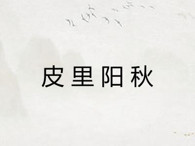 皮里阳秋