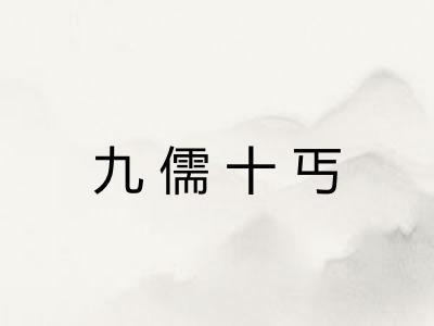 九儒十丐