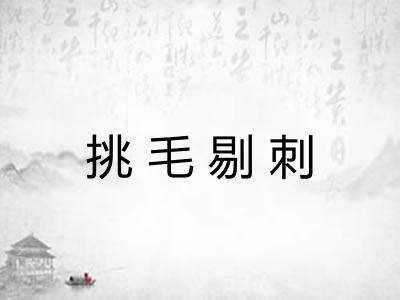 挑毛剔刺