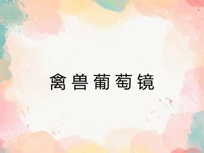 禽兽葡萄镜