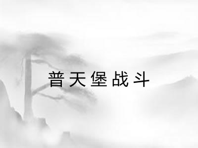 普天堡战斗