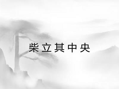 柴立其中央 柴立其中央
