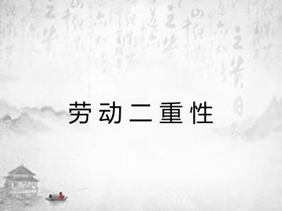 劳动二重性