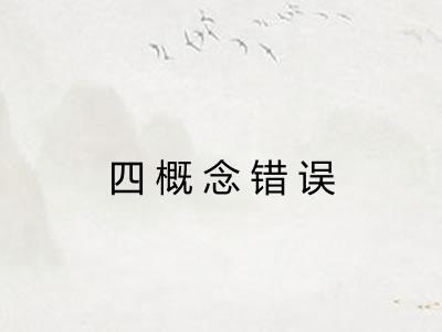 四概念错误