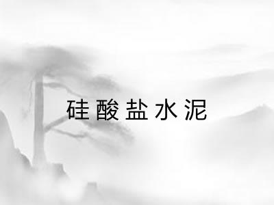 硅酸盐水泥