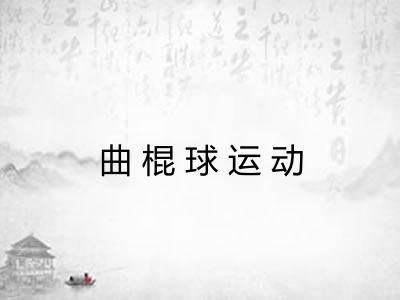 曲棍球运动