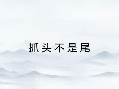 抓头不是尾