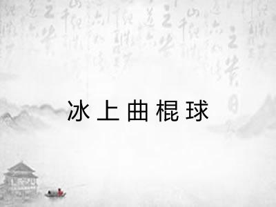 冰上曲棍球