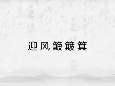迎风簸簸箕