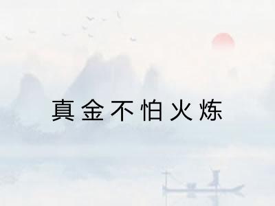 真金不怕火炼