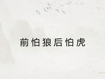 前怕狼后怕虎
