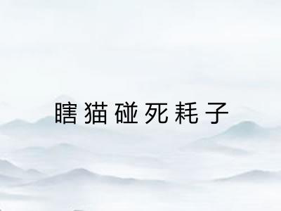 瞎猫碰死耗子