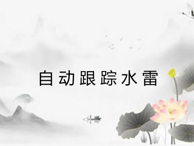 自动跟踪水雷