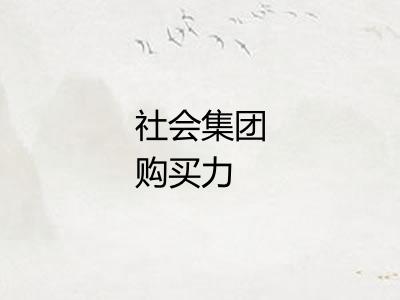 社会集团购买力